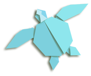 Paper turtle